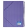 ماكسي دفتر عرض حلزوني بحجم A4 - بنفسجي، 60 جيب