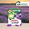 Ariel Automatic Lavender Laundry Detergent Powder 9kg