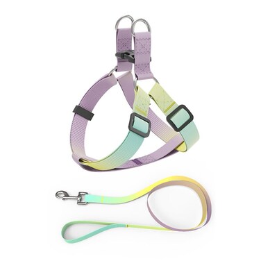 Helepet Flat Pet Leash Harness-Plastic Buckle - S, YELLOW RAINBOW
