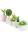 Bigfety Small Adhesive Wall Shelves, 5-Ledges, Acrylic Display Shelf Flexible Use of Wall Space