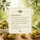 Carrefour Classic Green Olives Stuffed with Anchovy Paste, 350g