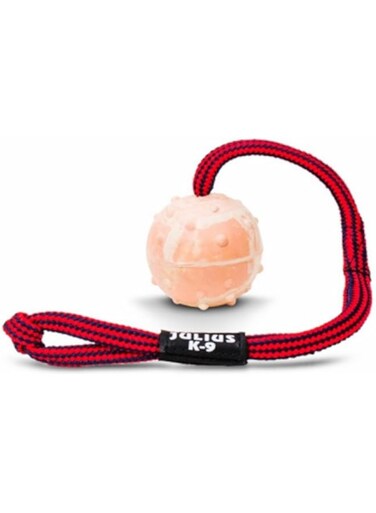 Julius-K9 Idc Natural Rubber Ball With Closeable String - Diameter 5 cm