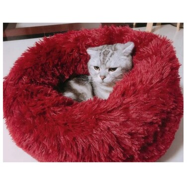 Pado Pet Fluffy Donut Cushion - Red[Size - Xl, Dimension - 70 X 20Cm]