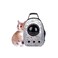 Petbroo Pet Backpack Bag - Danny Bear
