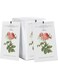 Rose Sachet, 1Box/12Pcs, Scented Sachets Air Freshener for Drawer and Closet, Long-Lasting Sachets Bags Drawer deodorizers Fresh Scents, Home Fragrance Sachet for Lover/Home/Car Fragrance Product
