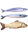 Mumoo Bear Catnip Toys 3 Pack Simulation Fish Shape Realistic Fluffy Catnip Doll Interactive Pets Pillow Chew Bite Supplies For Cat Kitten Kitty, Assorted, Qdy Catnip Toys