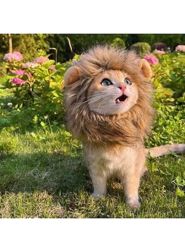 UVONOKAY Cat hat, Turn Your cat into a Brave Lion, Very Cute, Lion Mane for Cats (M)