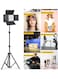 RGB 800 LED Pro RGB Studio Light Kit &ndash; Rechargeable + Plug-in, Adjustable Bi-Color &amp; RGB Effects for