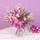 11 Purple Orchid In Vase