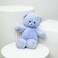 Sky Blue Teddy Bear