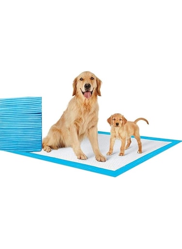 Nyganmelloz Dog and Puppy Training Pads, Disposable Absorbent Quick Drying Leak-Proof Pee Pads for Potty Training for Pets, Disposable Dog Pee Pads 60x60cm L size - 40 Pcs