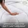 Hotel Linen Klub Comforter Double Set 250TC Cotton 1cm Stripe, 3 Pieces &ndash; 160x220cm with 2 Pillowshams 50x75+5cm, 250GSM Filling, White