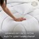 Hotel Linen Klub Comforter King Set 250TC Cotton 1cm Stripe, 5 Pieces &ndash; 220x240cm with 2 Pillowshams 50x75+5cm &amp; 2 Cushion Covers 40x40cm, 250GSM Filling, White