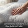 Hotel Linen Klub Duck Feather Pillow 50x75cm &ndash; 233TC 100% Cotton Cover, 1100g Feather Filling, White