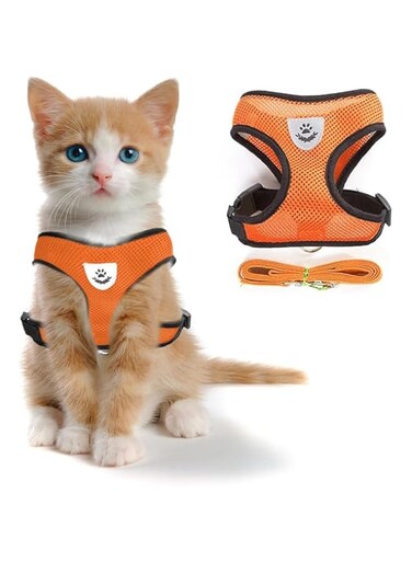 ShabeEat Cat Chest Harness and Leash, 2 Pack Anti-Escape Adjustable Soft mesh cat Leash and Chest Harness Set for All Types of Cats cat Vests (Size M,Orange)