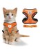 ShabeEat Cat Chest Harness and Leash, 2 Pack Anti-Escape Adjustable Soft mesh cat Leash and Chest Harness Set for All Types of Cats cat Vests (Size M,Orange)