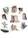 JeeSoarToFar Realistic 3D Design! British Shorthair Cat Wall Decal Gift Set - 9 Decals + Car Window and Bumper Stickers, Gift for Grey Kitten Enthusiasts, Includes Application Tool.