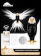 Eagle Wall Light &ndash; Remote Control Magnetic Wall-Mounted Eagle Night Lamp for Bedroom, Living Room, and Hallway   Battery Operated &amp; Removable Charging Eagle Light