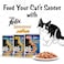 Purina Felix Sensations Jellies with Salmon and Tomato Flavours Cat Food, 85g Pack of 12