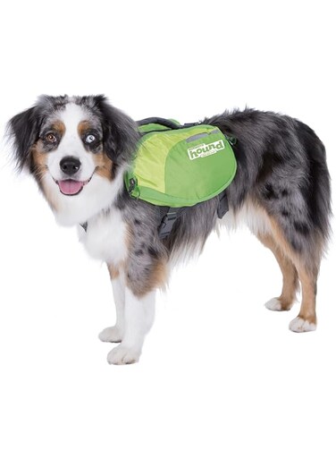 Outward Hound DayPak Green Dog Saddleback Backpack, Medium