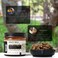 AWAFI MILL Guggul Resin 100g   Guggal   Commiphora wightii