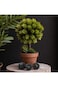 Natural Artificial Bonsai Tree 30Cm Artificial Tree in Plastic Pot with Moss Grass.