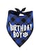 Minta Dog Birthday Bandana, Dog Birthday Bandana Scarf, Dog Birthday Bandana Triangle Scarf, Washable Adjustable, Classic Check Design, Cute Dog Birthday Hat, Suitable for Small, Medium and Large Dogs