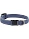 Lupine Pet Eco Cat Collar with Safety Buckle 8-12" &ndash; Mountain Lake