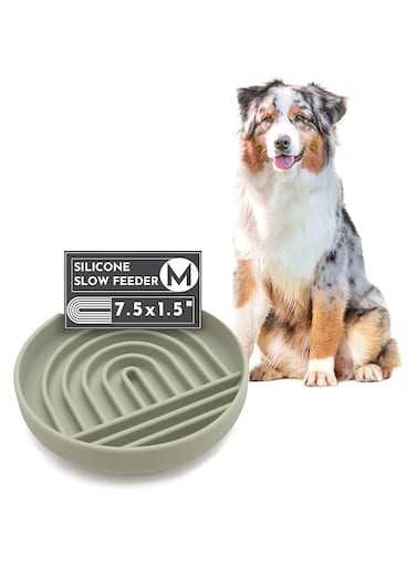 The Slowdown Bowl: Silicone Slow Feeder Dog Bowl with Ridges to Stop Bloat and Overeating. This Modern, Interactive Puzzle Dish &amp; Lick Mat is Non Slip, Dishwasher Safe, Microwave Safe. (Sage Green)