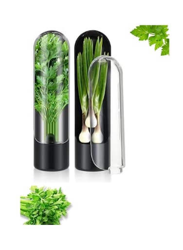 2 Pack Herb Keeper Kitchen Storage Container To Keep Your Vegetables Fresh In Refrigerator Savor Pod For Cilantro Mint Parsley Asparagus