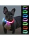 Supreouts Light Up Dog Collar, Rainproof LED Dog Collar Rechargeable, 9 Flashing Modes, Glow Pet Collars for Night Walking, Cuttable Soft Silicone Collar for Small and Medium Dogs (60 cm)