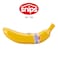Snips Banana Guard with Snap Closure &ndash; Made in Italy