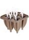 Harmony Silicone Ice Tray, Brown