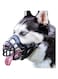 Barkless Dog Muzzle, Basket Muzzle Anti Biting Chewing, Sturdy Lightweight Muzzle Allows Panting Drinking, Cage Muzzle for Small Medium Large Dogs, Suitable for Grooming Trimming Training