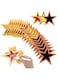 Tazweeq 90Pcs Movie Star Cardboard, Red Carpet Awards Night Decorative Cardstock, Star Paper Cardstock, For Paper Star Confetti Cutouts for Bulletin Board Movie Party Decorations Supplies
