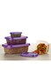 Sulfar Rectangular Plastic Food Storage Container with Air Tight Lid Kitchen Container Meat Box Fridge and Freezer Storage Boxes Bowl - 225ml, 325ml, 650ml, 1250ml, 4 Pcs, Clear (Purple)