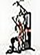 Miracle Fitness MF-1902 Multifunctional Home Gym with Leg Press (72kgs Weight Stacks)