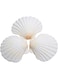 15 pcs Natural Scallop Shells 2-3 inch White Sea Shells from Sea Beach for DIY Craft Home