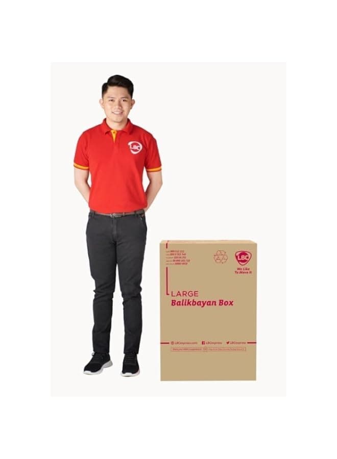 Hugging Lbc Box Buy LBC Express Large Box (53x51x76cm) Online | Carrefour UAE