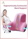 Lumber Back Support Pillow   Back Cushion   Ergonomic Memory Foam for Back Support, Improve Posture, Relieve Sciatica &amp; Tailbone &amp; Back Pain, Good for Office Chair, Gaming Chair, Car Seat (Pink)