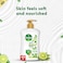 Dettol Activ-Botany Liquid Handwash, Green Tea &amp; Bergamot Scent, 400ml