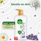 Dettol Activ-Botany Shower Gel &amp; Body Wash, Lavender &amp; Chamomile Scent, 700ml