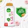 Dettol Activ-Botany Shower Gel &amp; Body Wash, Rosewater &amp; Hibiscus Scent, 250ml Pack of 2