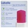 Labello 24 Hour Melt-in Moisture Cherry Shine Lip Balm with Natural Oils and Shea Butter 4.8g