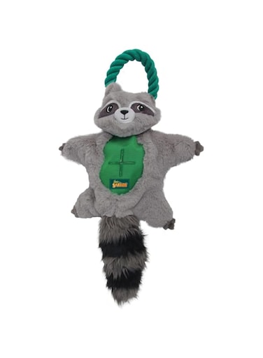 All For Paws Safari - Air Raccoon