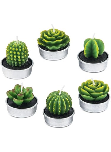 Tazweeq 6 Pack Handmade Delicate Succulent Cactus Candles, for Birthday, Party, Wedding, Home Decoration