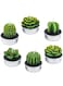 Tazweeq 6 Pack Handmade Delicate Succulent Cactus Candles, for Birthday, Party, Wedding, Home Decoration