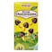 Meiji Milk Chocolate Flavoured Chocorooms Chocolate, 40g