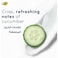 Dove Antiperspirant Deodorant Stick Cool Fresh Soft 40g Pack of 2