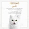Purina Fancy Feast Classic Pate Grilled Liver and Chicken Feast in Gravy Cat Food, 85g